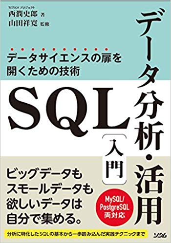 SQLデータ分析・活用入門 データサイエンスの扉を開くための技術
